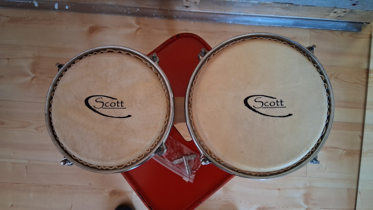 Scott Bongos